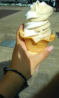 �A�C�X