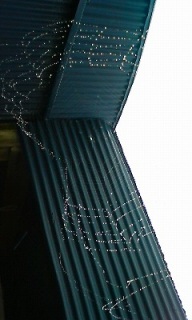 �w偂̑�