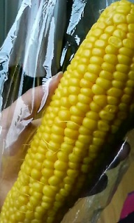 �Ƃ����낱��