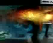 �����Q